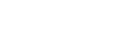 Binary: A Premier Shopify Plus Partner in India