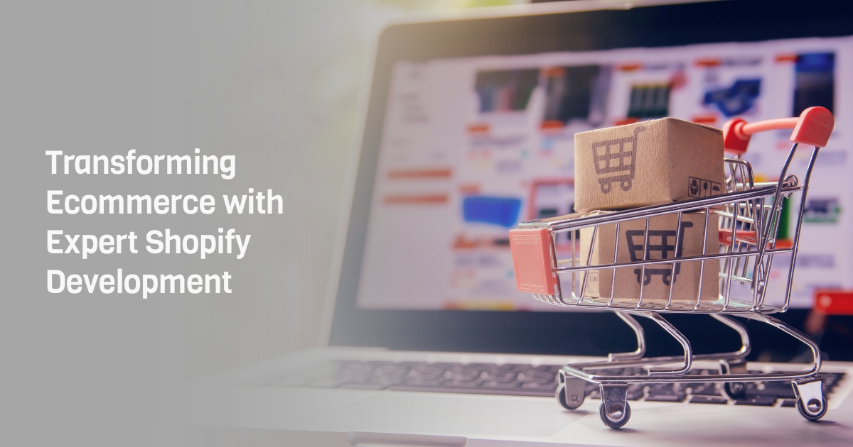 Certified Shopify Plus Partner India | Enterprise Solutions
