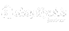 Shopify Plus Partners logo- Binary- Ecommerce Experts