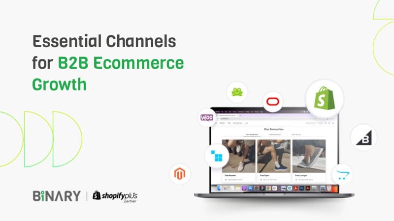 Essential channels for B2B ecommerce growth